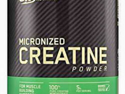 Optimum Nutrition Creatine-120Serv.-600G